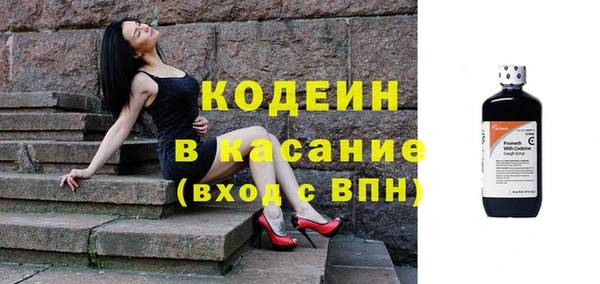 амф Гусиноозёрск